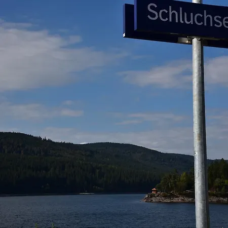 Eisenhauer In
