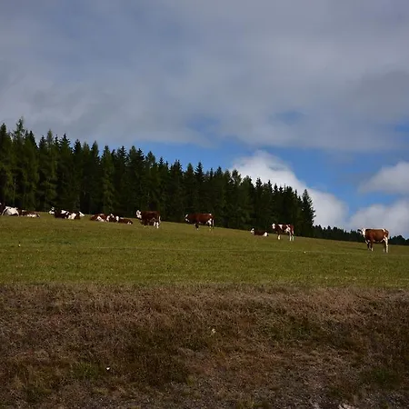 Eisenhauer In Schluchsee