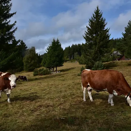 דירה Eisenhauer In *