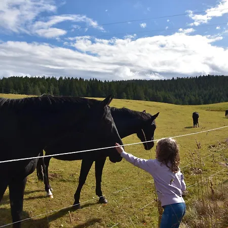 דירה Eisenhauer In *