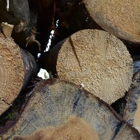 דירה Eisenhauer In *