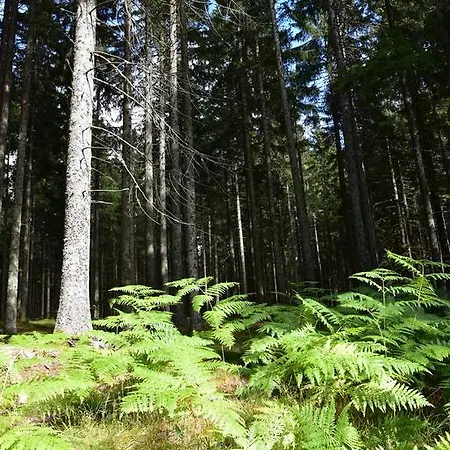 Apartmán Eisenhauer In *