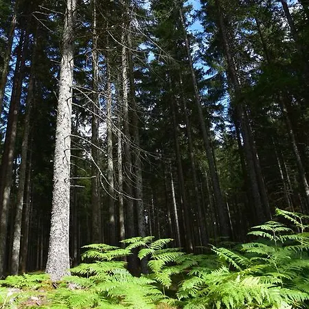 Apartmán Eisenhauer In Schluchsee