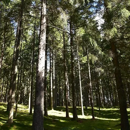 דירה Eisenhauer In שלוכזי