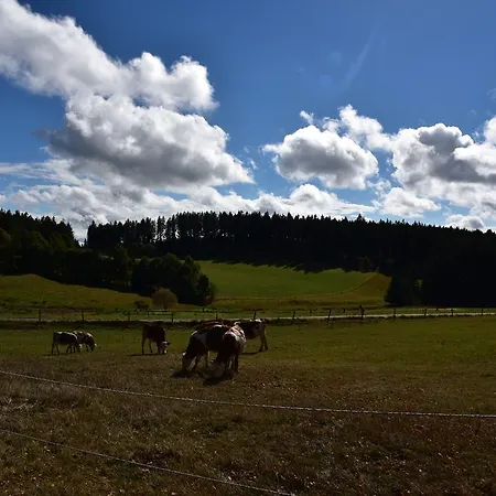 Apartmán Eisenhauer In *