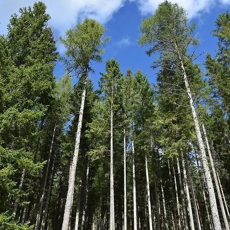דירה Eisenhauer In שלוכזי
