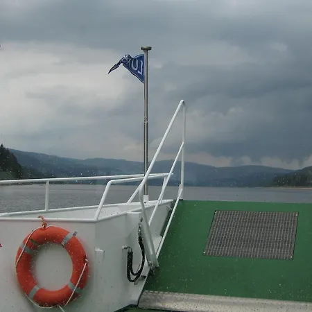 Eisenhauer In * Schluchsee