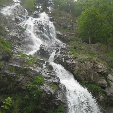 דירה Eisenhauer In *