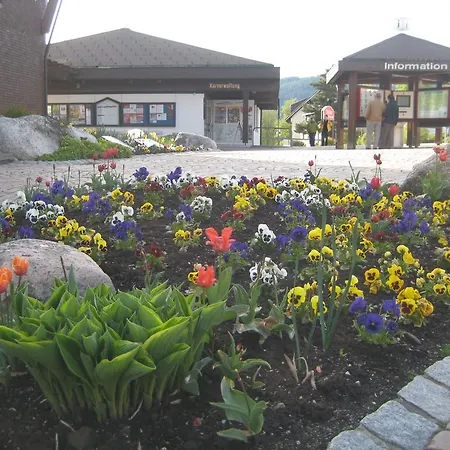 Eisenhauer In * שלוכזי