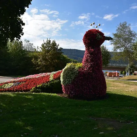 Apartmán Eisenhauer In Schluchsee