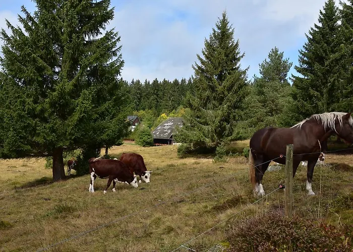 Appartement Eisenhauer In