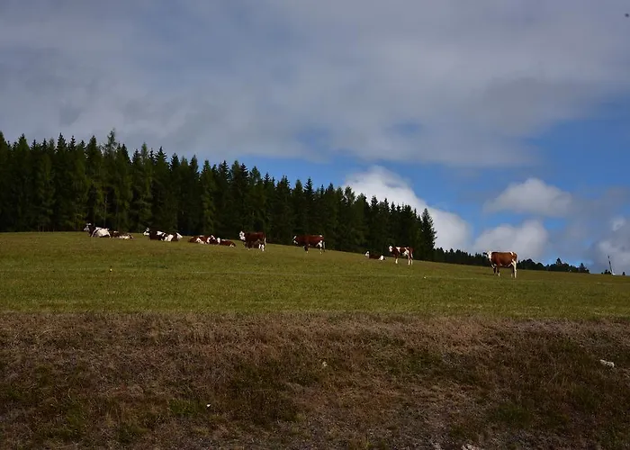Eisenhauer In Schluchsee
