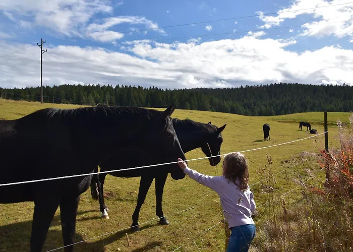 Appartement Eisenhauer In *