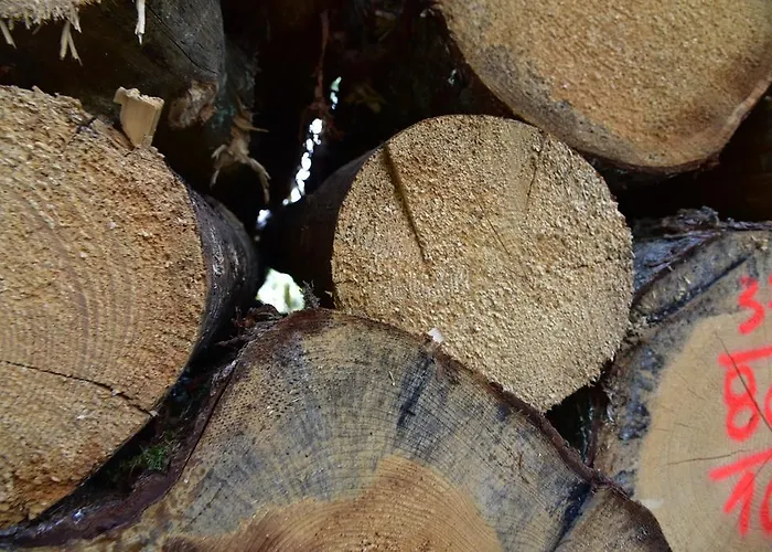 Appartement Eisenhauer In *