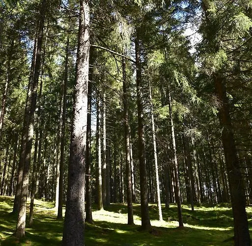 דירה Eisenhauer In שלוכזי