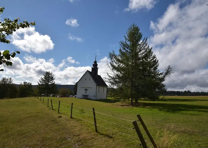 Eisenhauer In שלוכזי