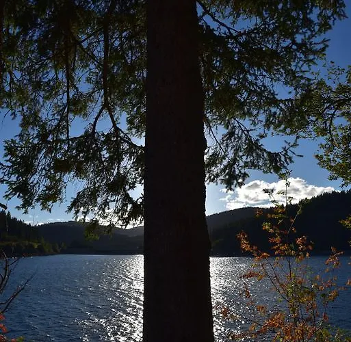 דירה Eisenhauer In שלוכזי