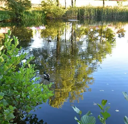 Appartement Eisenhauer In