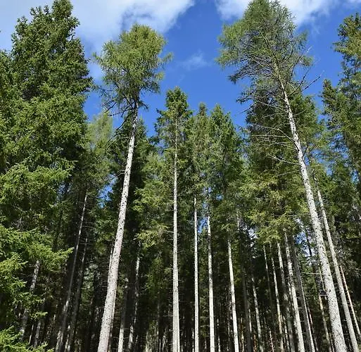 דירה Eisenhauer In שלוכזי