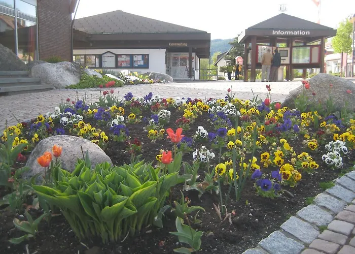 Eisenhauer In * Schluchsee